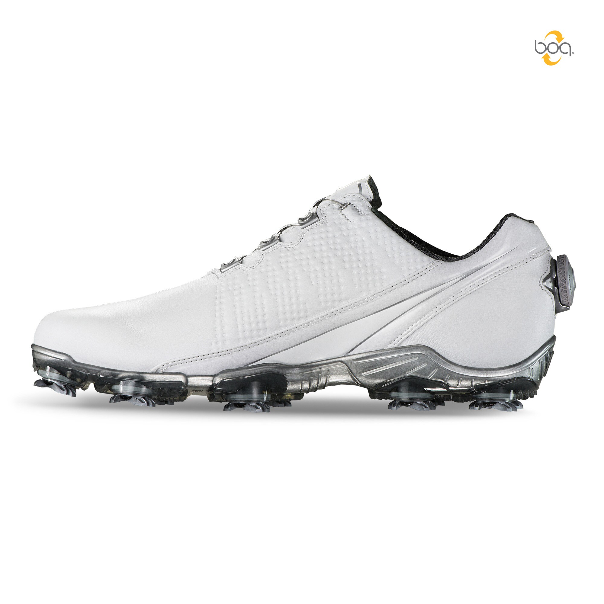 D.N.A. BOA&reg;-Mod&egrave;le de l'ann&eacute;e Pr&eacute;c&eacute;dente