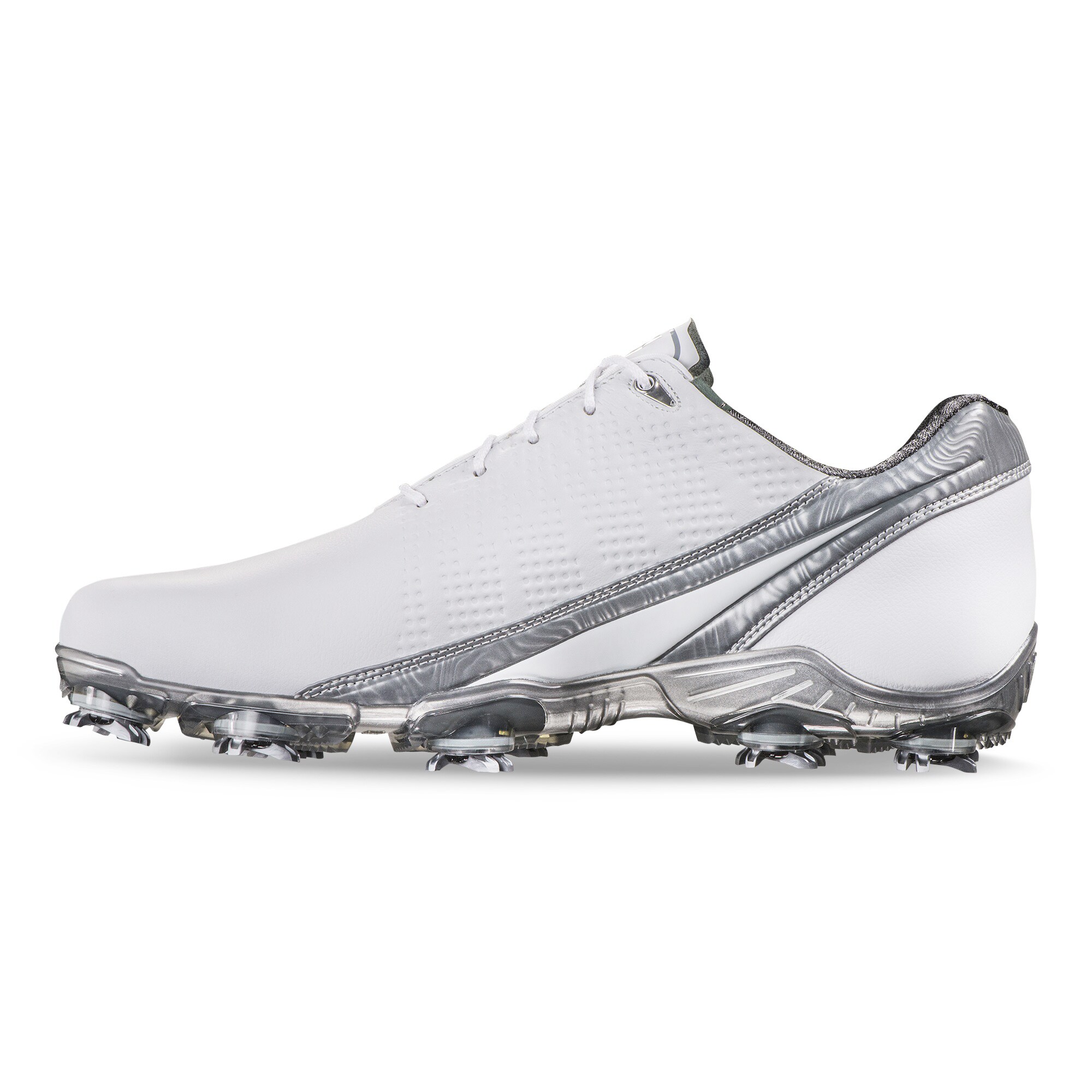 D.N.A.-Mod&egrave;le de l'ann&eacute;e Pr&eacute;c&eacute;dente