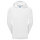 TempoSeries Blocked Sun Hoodie