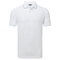 Weiß / Blauhäher
