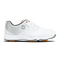 White / Silver
