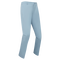 Blauhäher