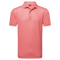 Hibiskus
